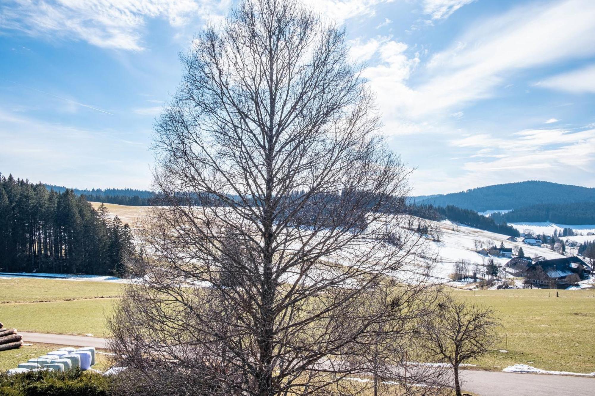 Lorenzenhaeusle Titisee-Neustadt Exterior photo