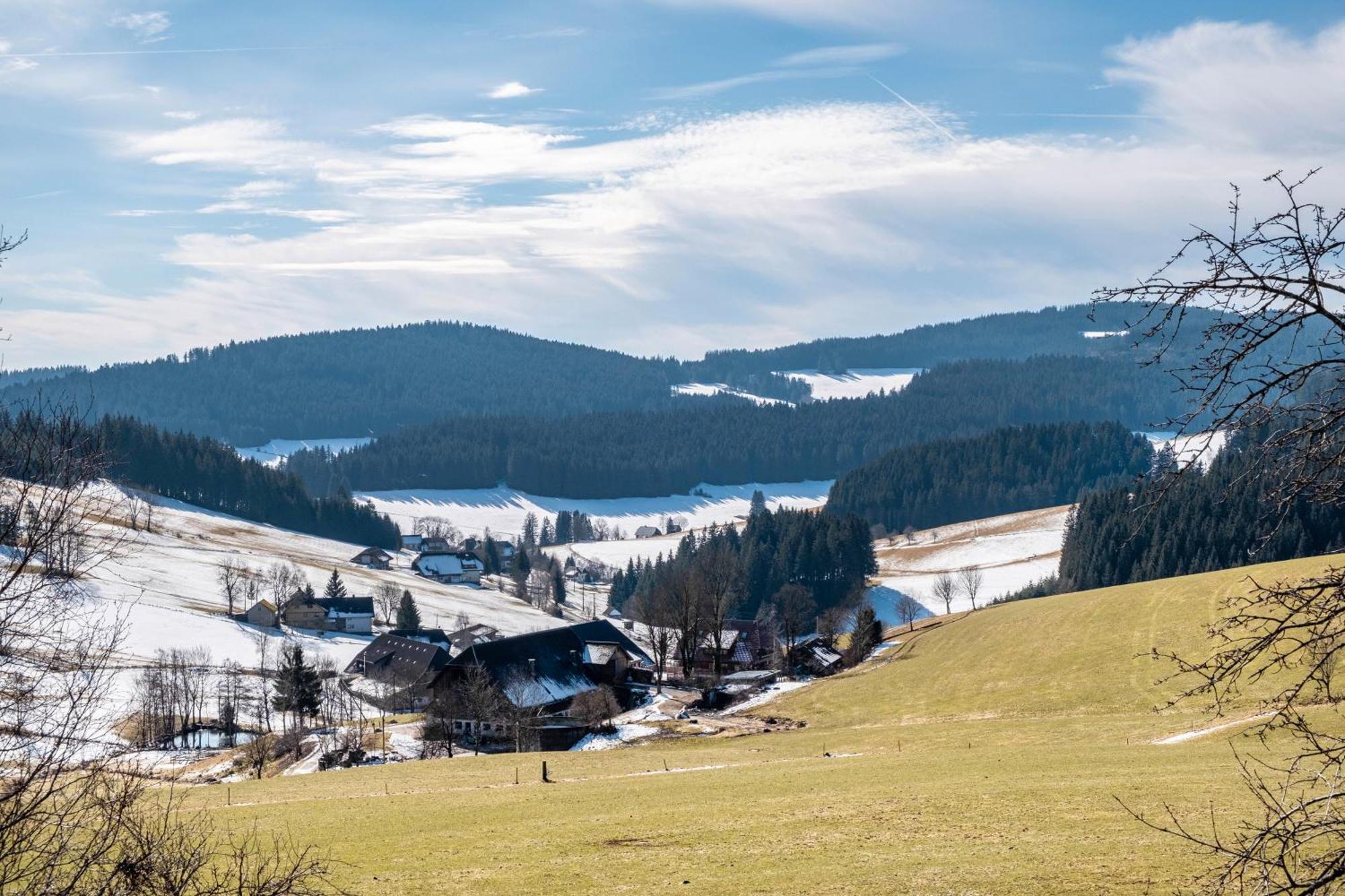 Lorenzenhaeusle Titisee-Neustadt Exterior photo