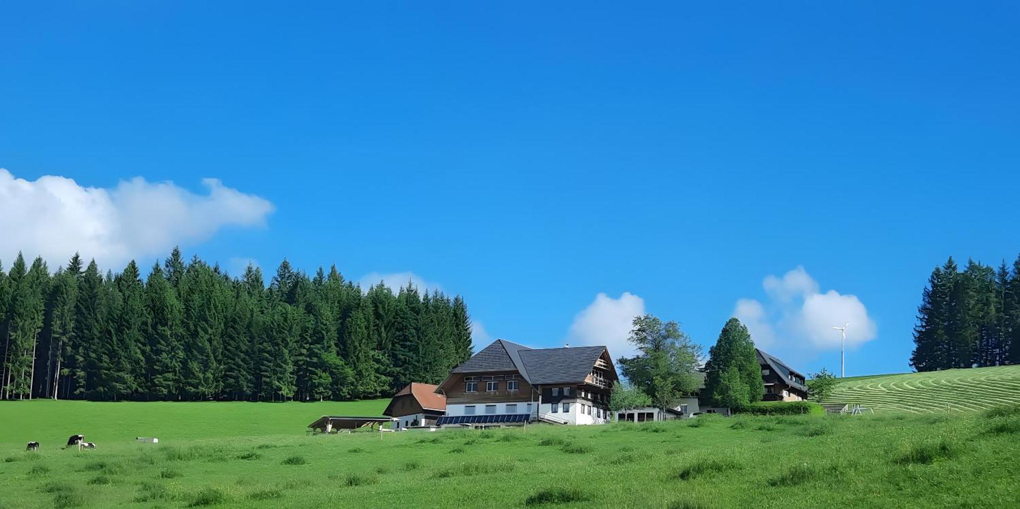 Lorenzenhaeusle Titisee-Neustadt Exterior photo